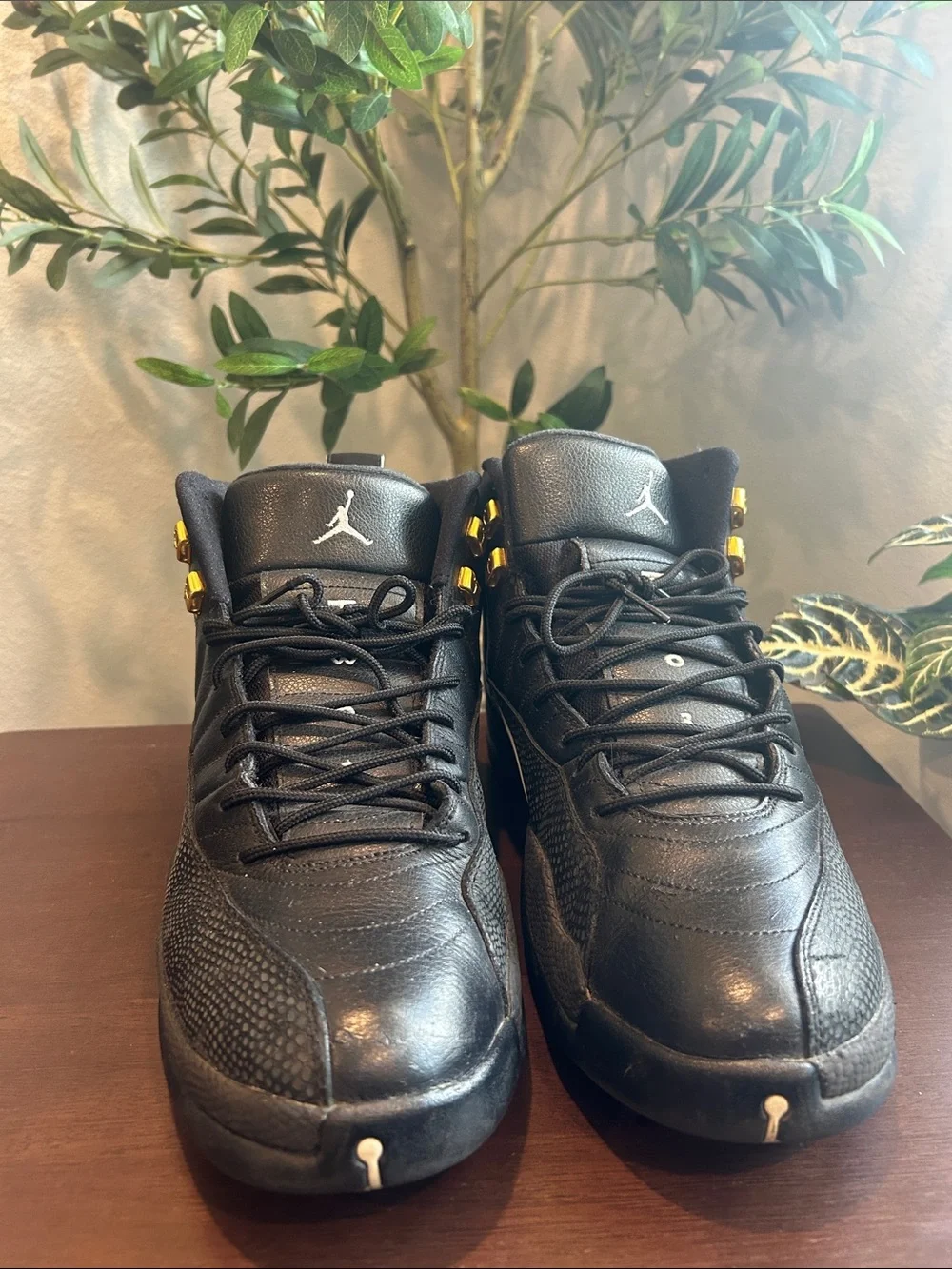 Air Jordan 12 Retro 